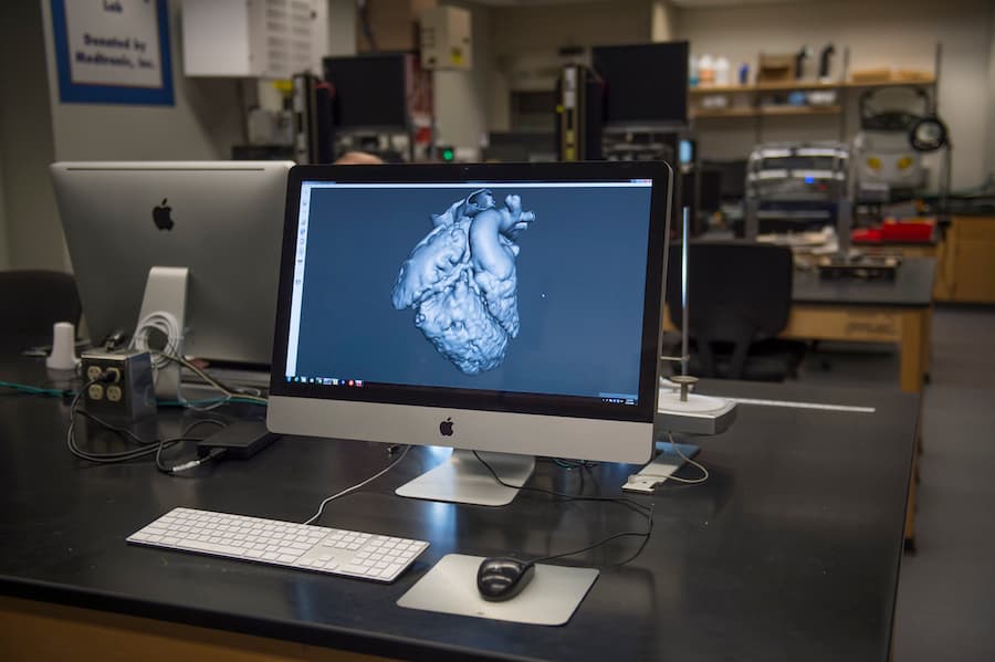 SACRAMENTO BEE / JOSE LUIS VILLEGAS