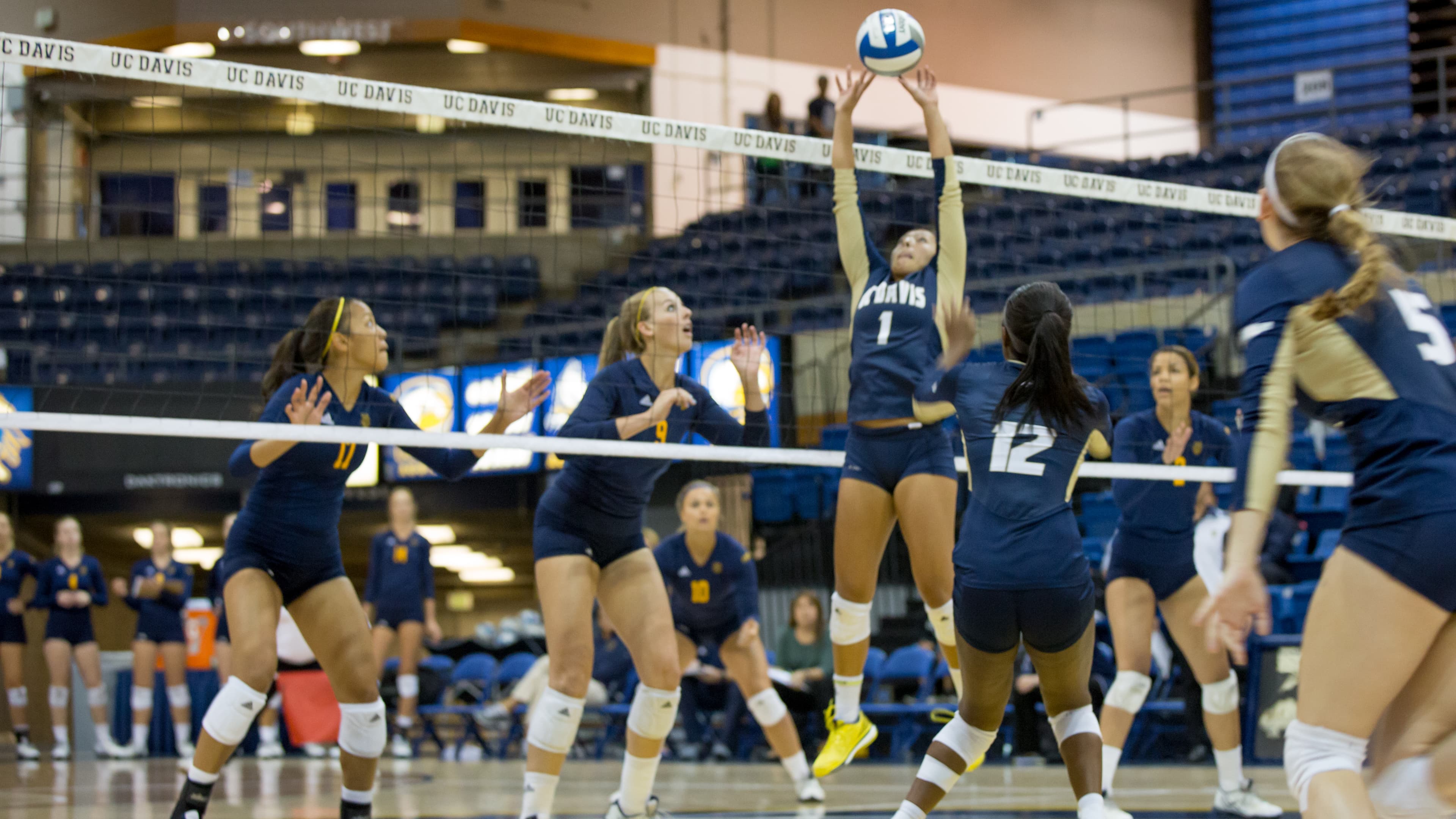 JAY GELVEZON / AGGIE