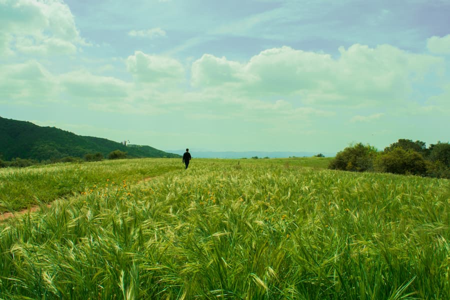 Wanderlust. (CHELBERT DAI / AGGIE)