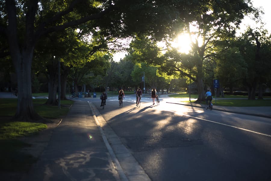 “Keep your face to the sun and you will never see the shadows.” ―Helen Keller (CHARLES MIIN / AGGIE)