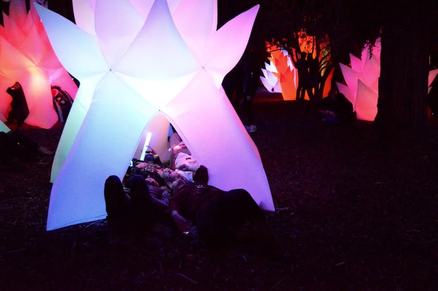 Crowds of people came to soak up the glow at the Autumn Lights Festival in Oakland, California on Oct. 16, 2015. (ARIEL ROBBINS / AGGIE)