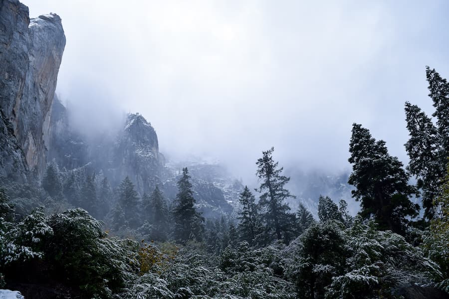 This photo was taken in Yosemite National Park a little over two weeks ago, where I spent the weekend with three absolutely wonderful friends. With this photo, I’m giving thanks for finding people so lovely and so well aligned with myself and my need to explore. Without them I never would have experienced snowball fights in California, eating lunch surrounded by deer at the bottom of Half Dome, or scrambling rocks to the see the bottom of a waterfall, where we probably shouldn’t have been. Happy Thanksgiving! (KATE SNOWDON / AGGIE)