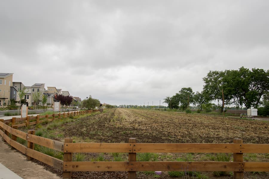 ANH-TRAM BUI / AGGIE