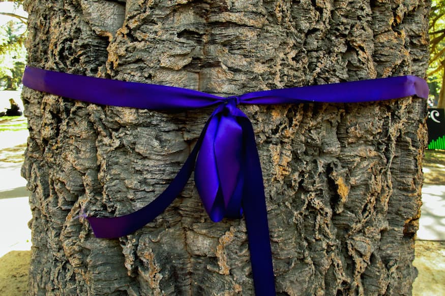 HANNAH WODRICH / AGGIE