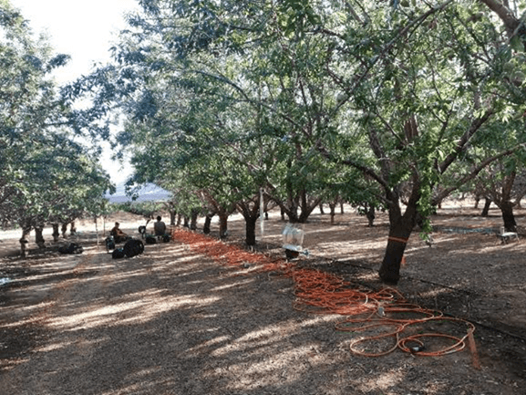 Kisekka's team working in the field to develop sustainable groundwater and irrigated agriculture practices. Courtesy photo by Srinivasa Rao Peddiniti.