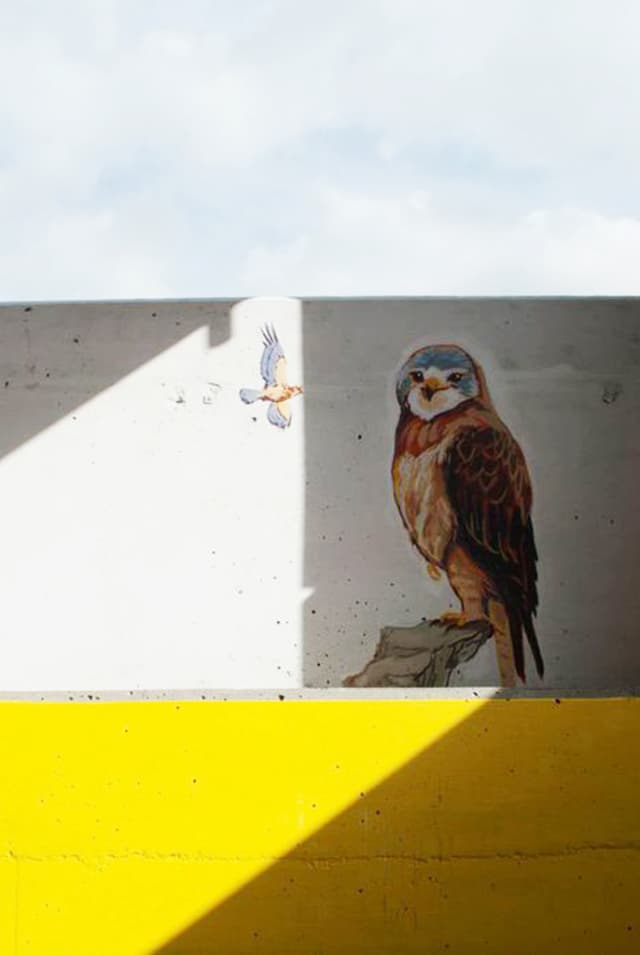 hXZiLHgd81H9mvOmm5FEYXHomnI36U5VXQW3TkVlruw