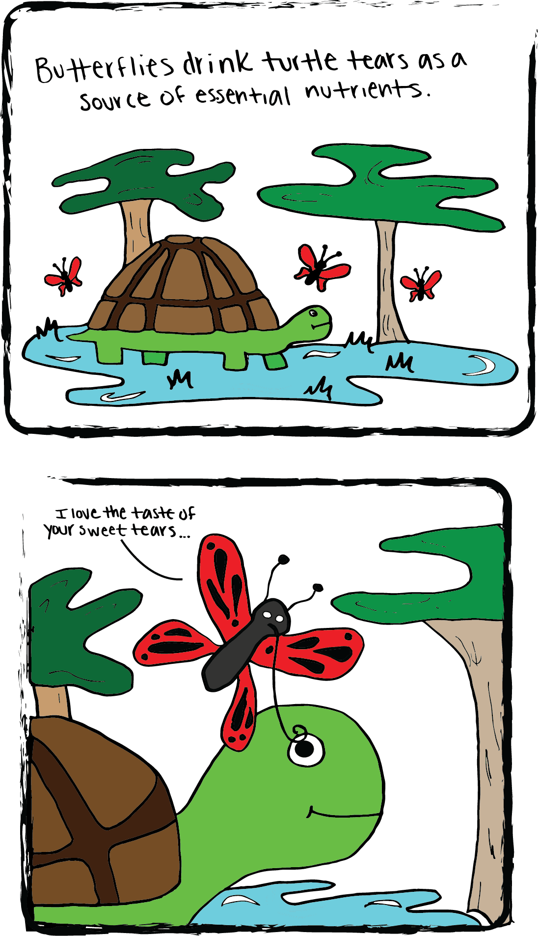 MARIO RODRIGUEZ / AGGIE