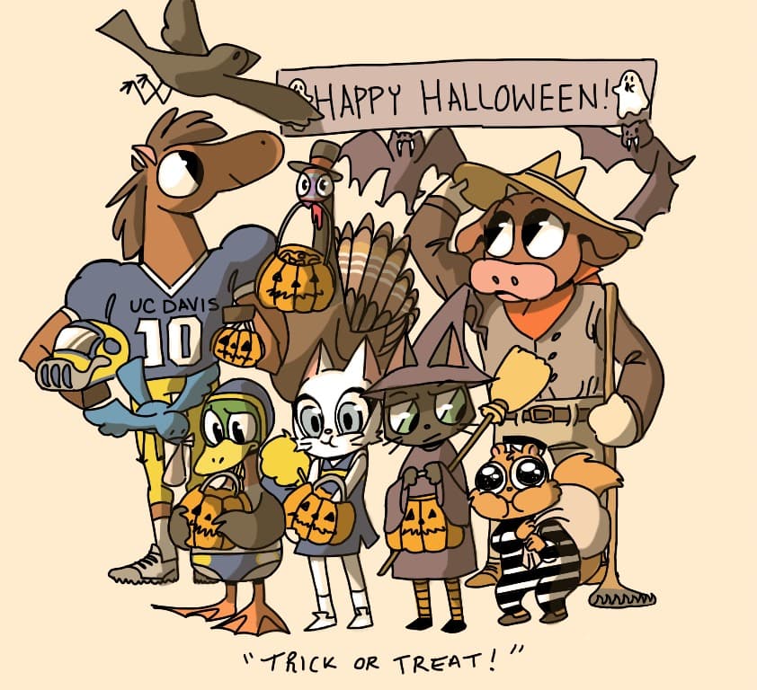 DIANA OLIVARES / AGGIE