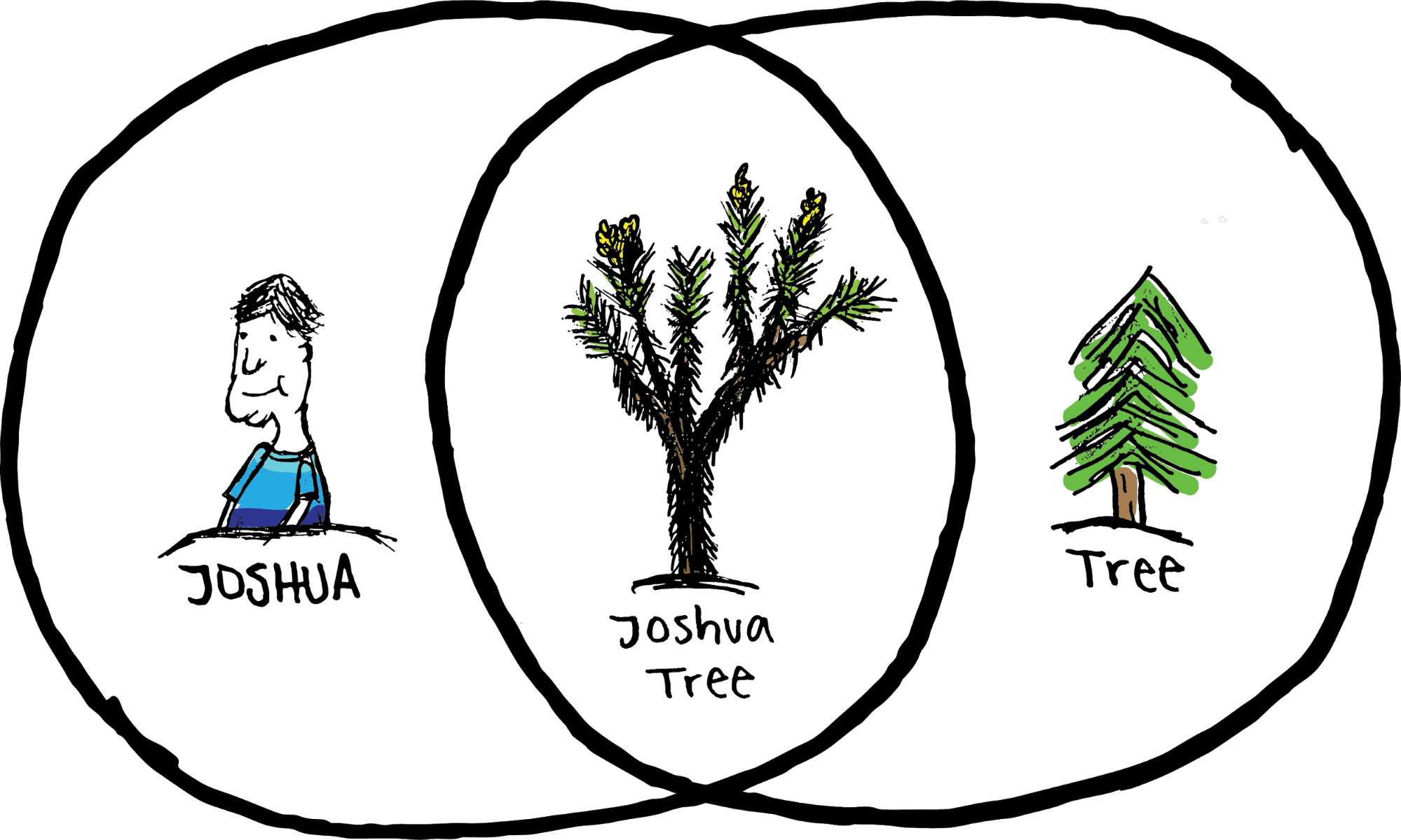 MARIO RODRIGUEZ / AGGIE