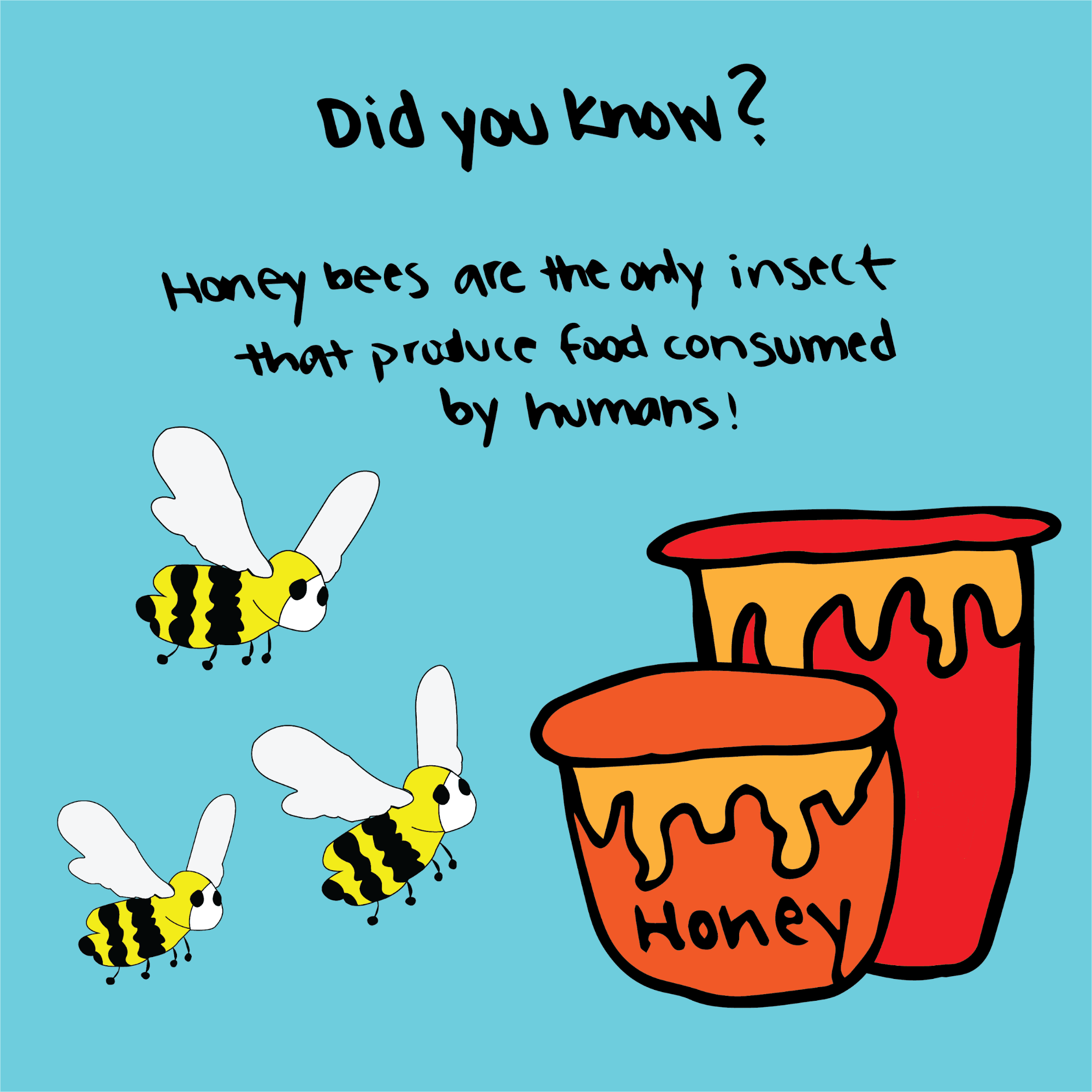 MARIO RODRIGUEZ / AGGIE