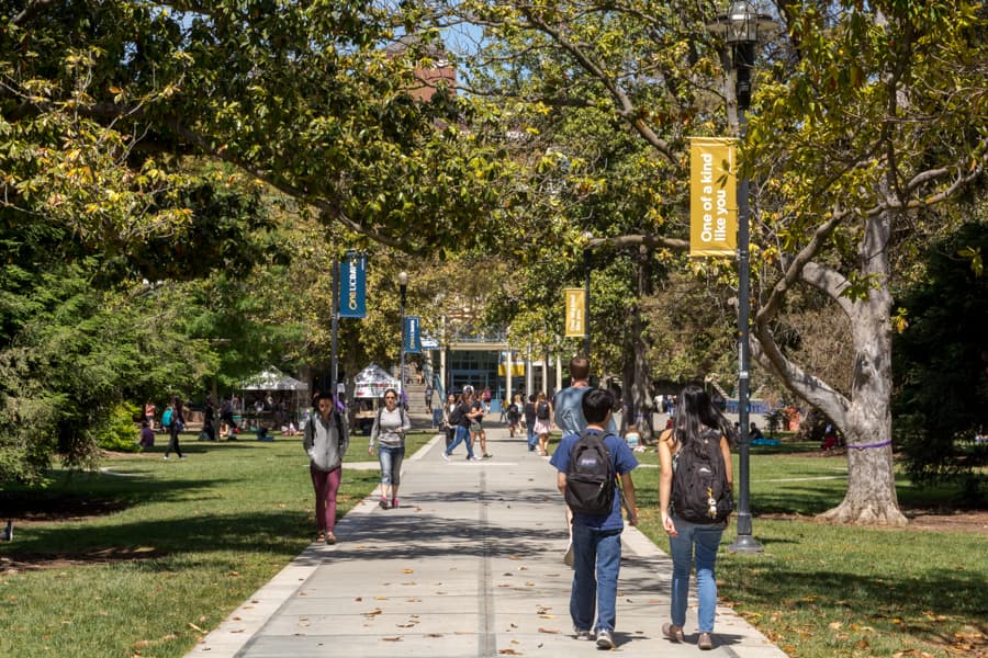 CHELBERT DAI / AGGIE