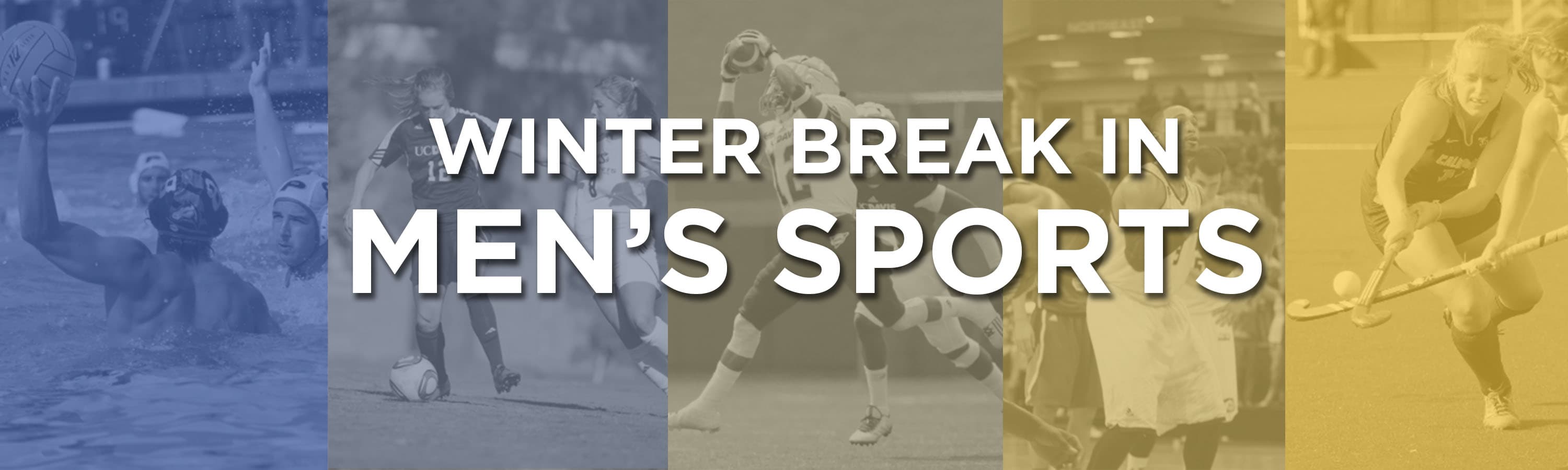 TIFFANY CHOI / AGGIE