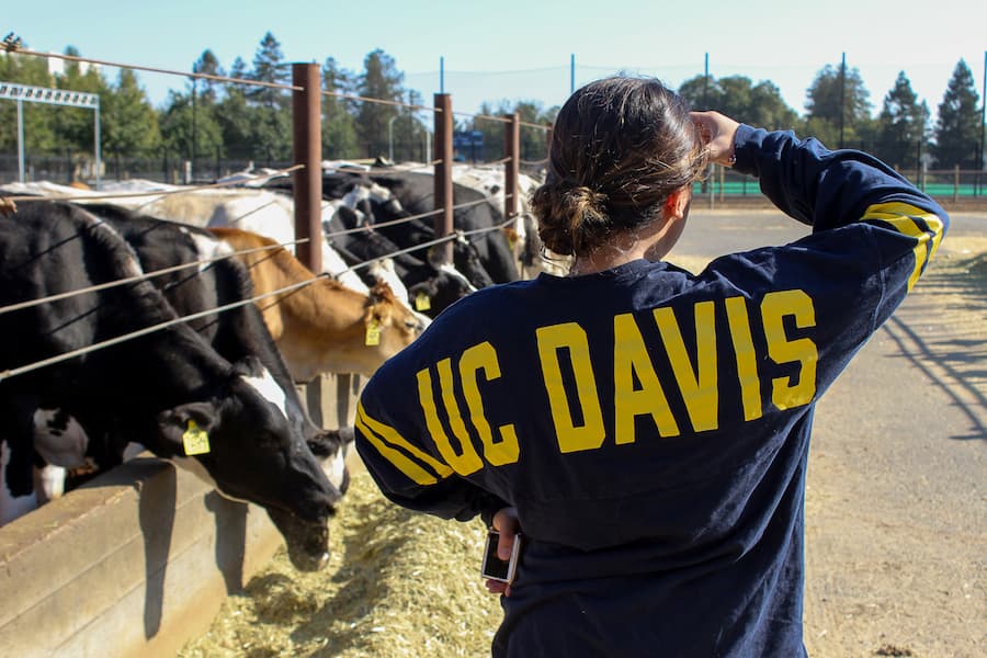 VENOOS MOSHAYEDI / AGGIE