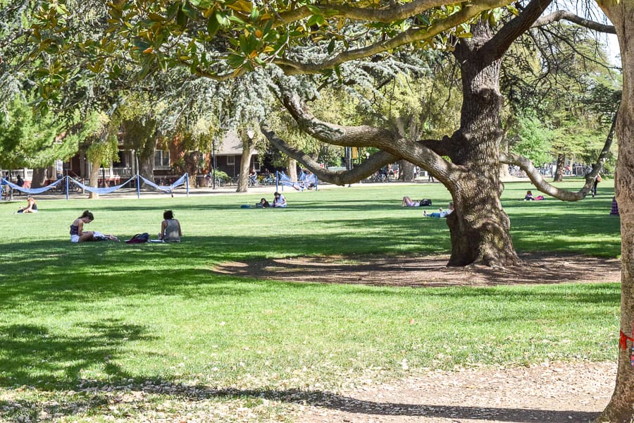 ALEXA FONTANILLA / AGGIE