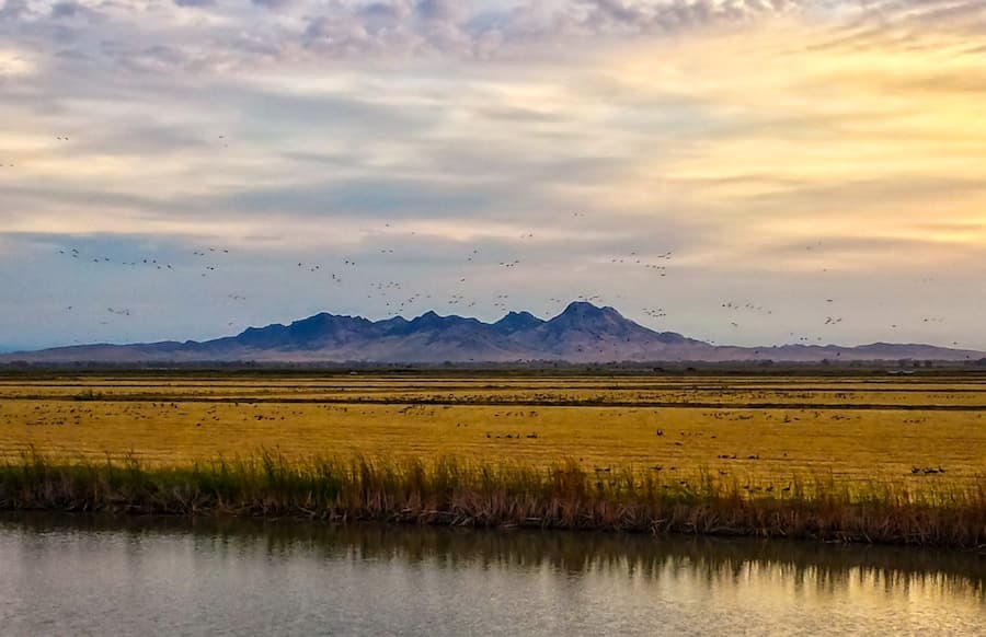 MIKE KIRSTEN / COURTESY