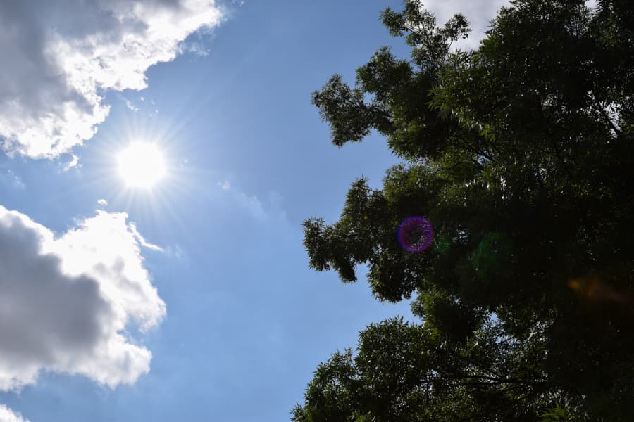 ALEXA FONTANILLA / AGGIE