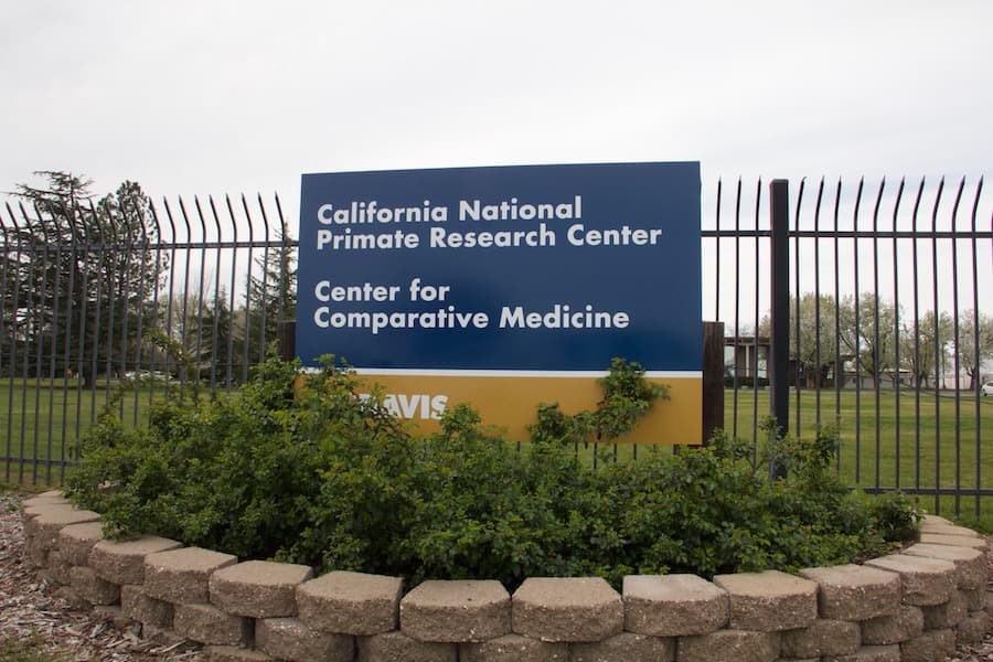 ASHLEY LUGO / AGGIE FILE