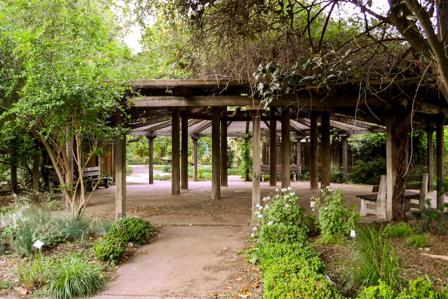 ANGELICA DAYANDANTE / AGGIE