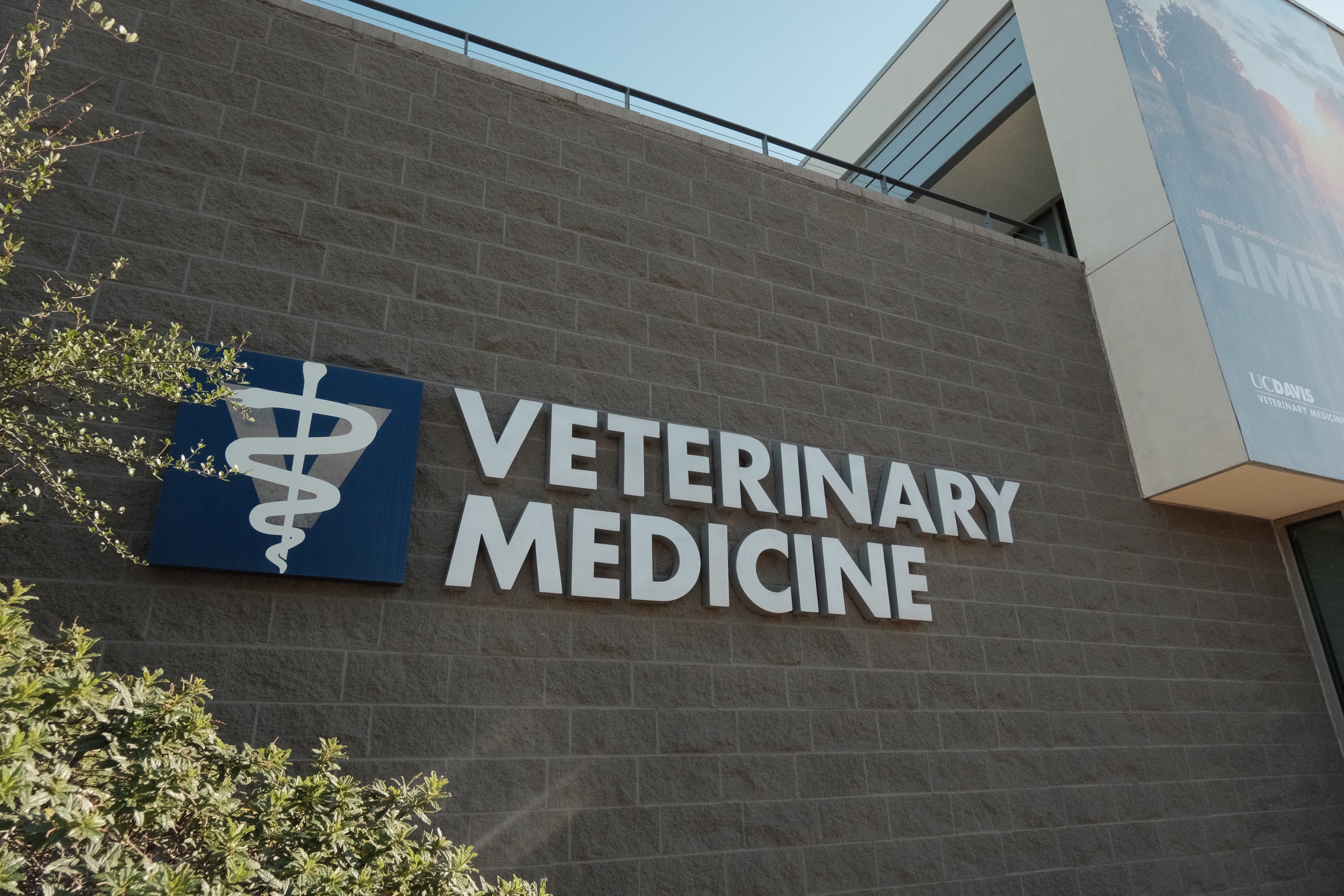The Davis Arbovirus Research and Training (DART) program is located at the UC Davis Weill School of Veterinary Medicine. (Aggie File)