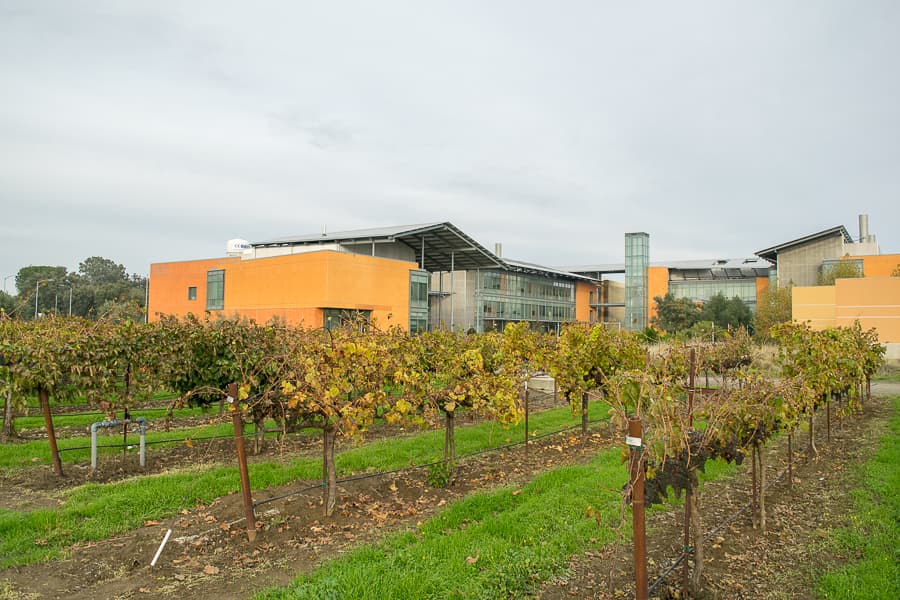 BRIAN LANDRY / AGGIE FILE