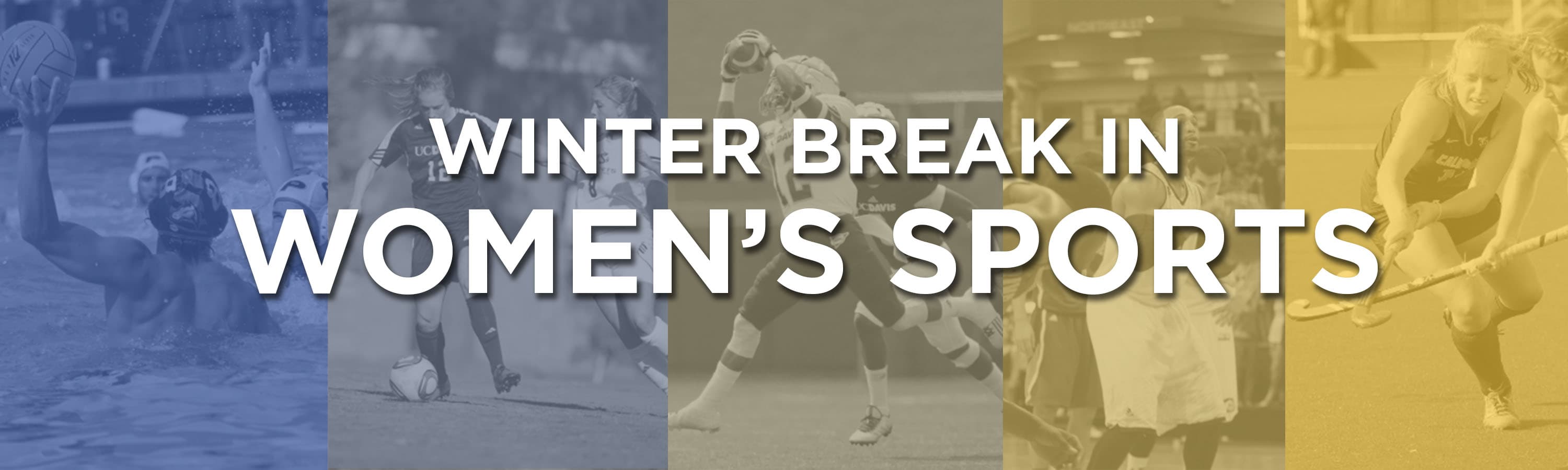 TIFFANY CHOI / AGGIE