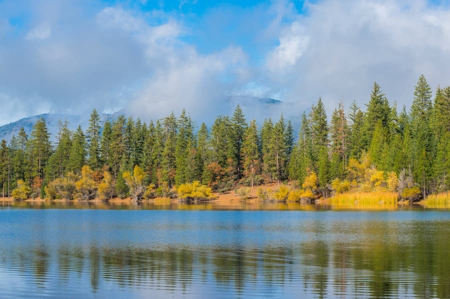 Reflections at Mendocino. (NICHOLAS CHAN)