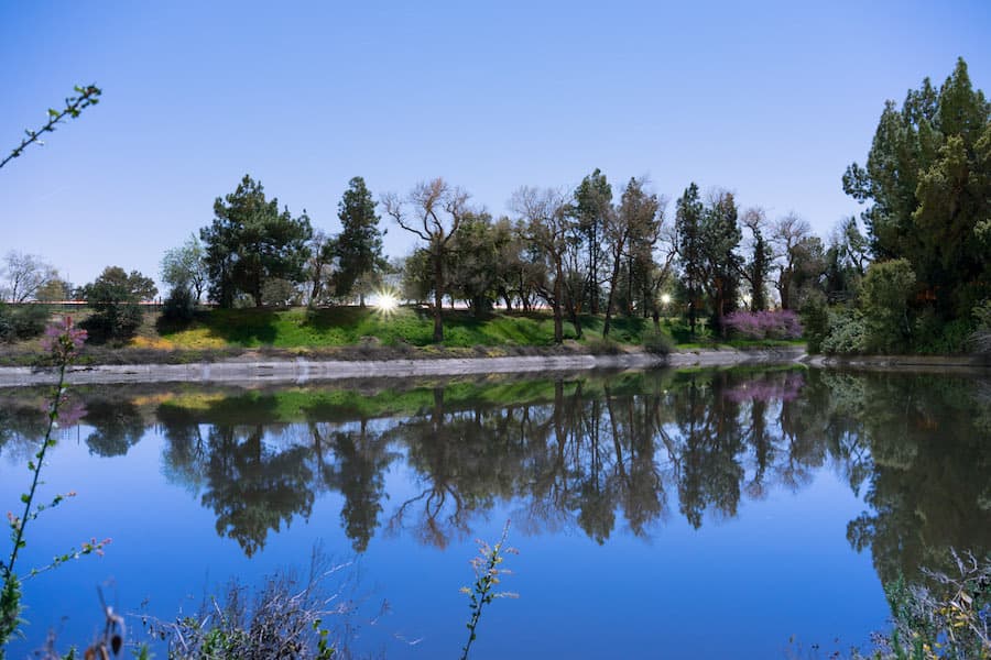 The Arboretum at midnight. (NICHOLAS CHAN)