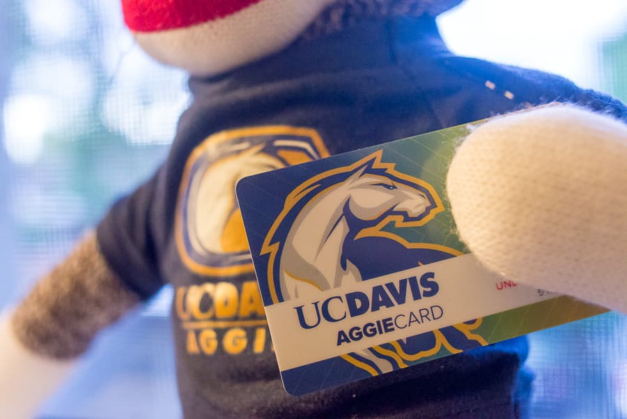 ANH-TRAM BUI / AGGIE