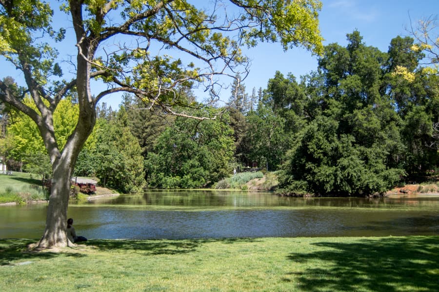 ARIEL ROBBINS / AGGIE