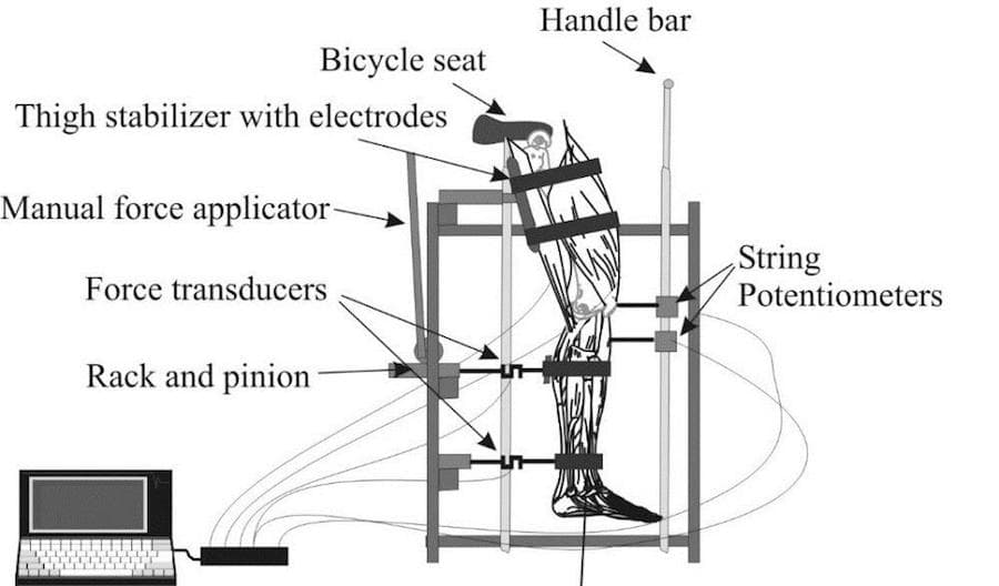 RICHARD HAWKINS / COURTESY