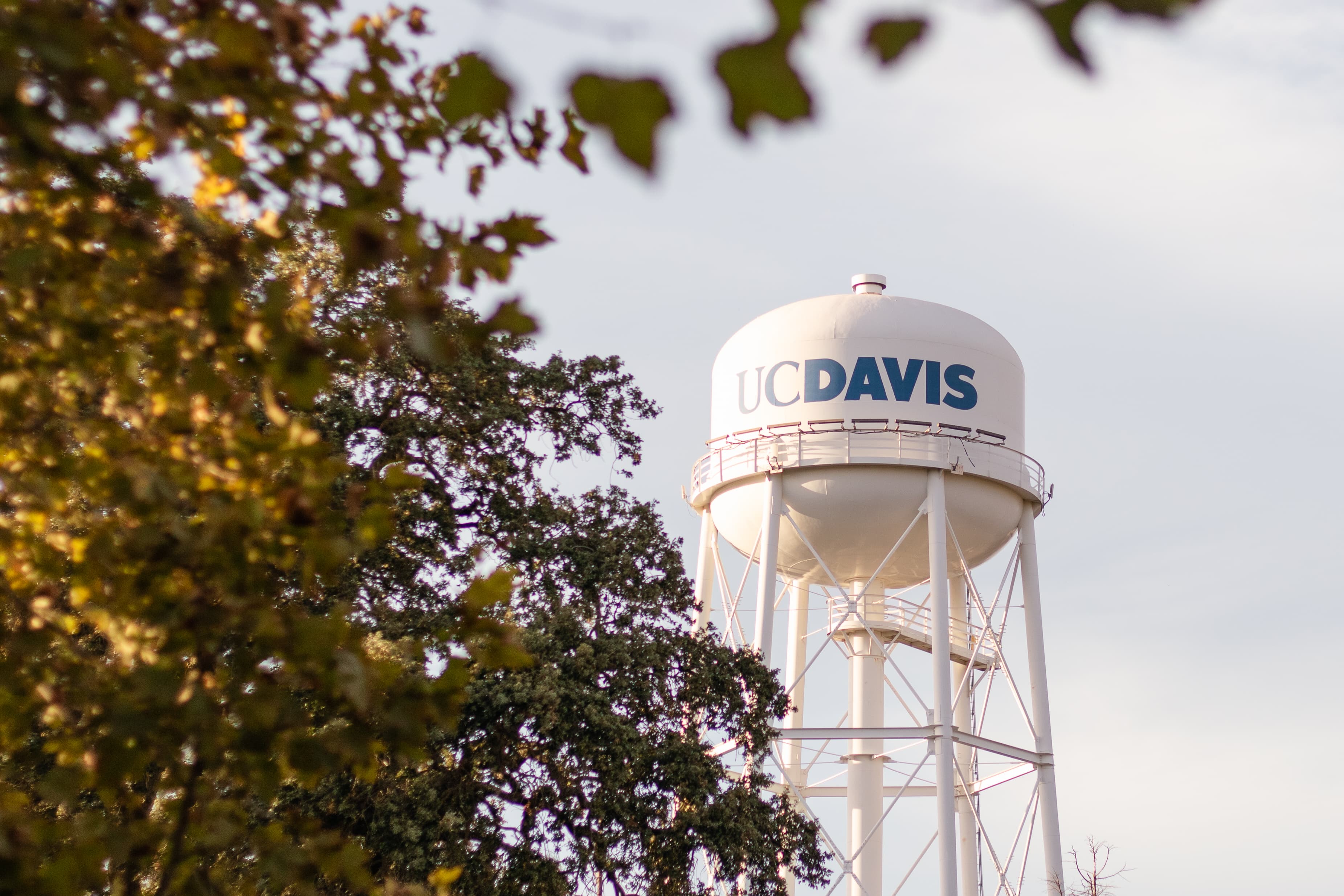 A UC Davis water tower stands near the Arboretum on Friday, Oct. 2. (Jenna Lee / Aggie)