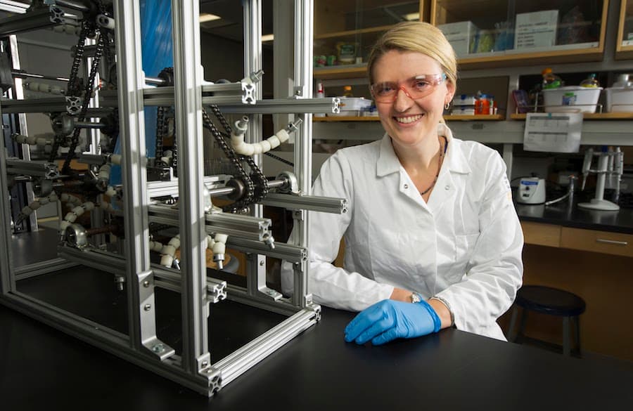 KARIN HIGGINS / UC DAVIS