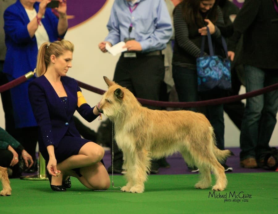 MICHAEL McGUIRE / COURTESY