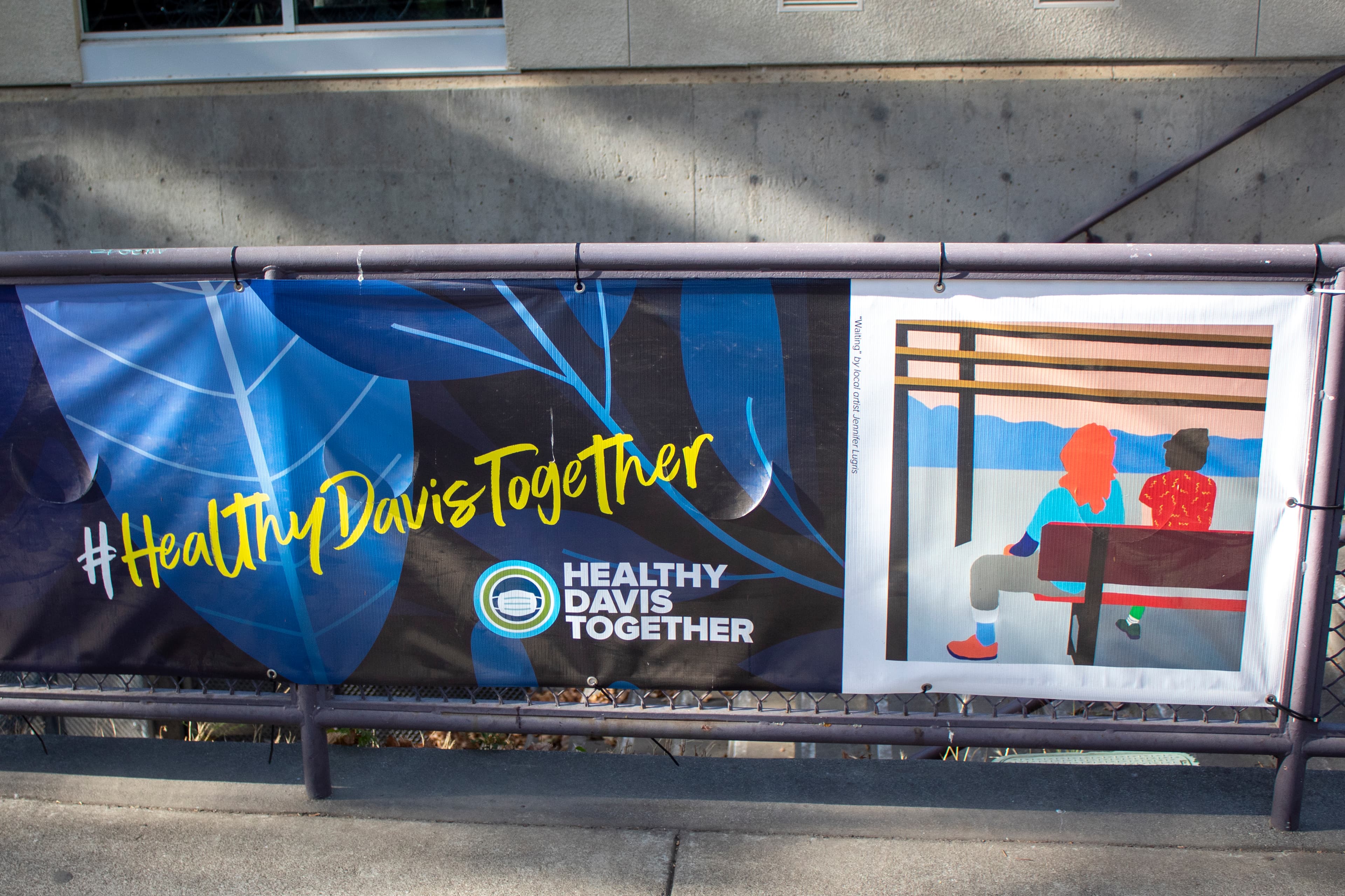 A picture of a bench advertising the Healthy Davis initiative
