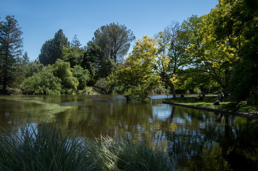 ARIEL ROBBINS / AGGIE