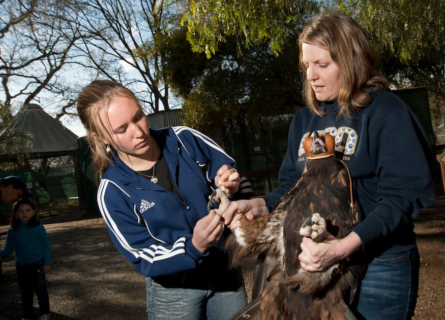 GREGORY URQUIAGA / UC DAVIS