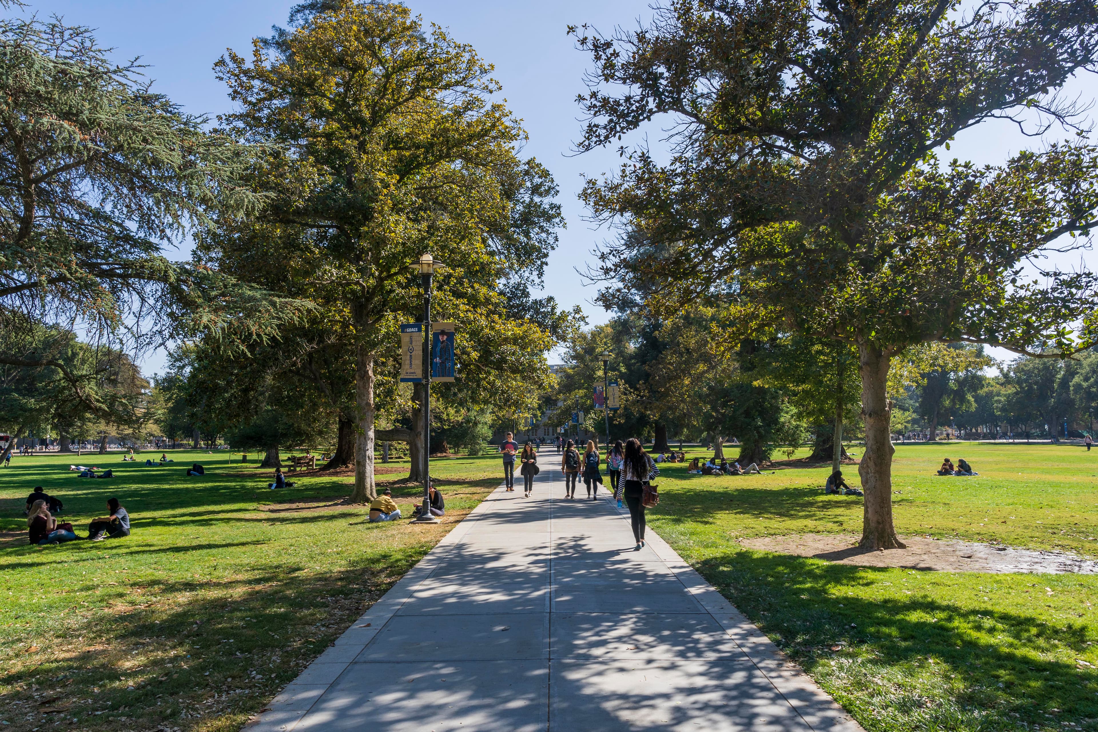 UCD Quad
