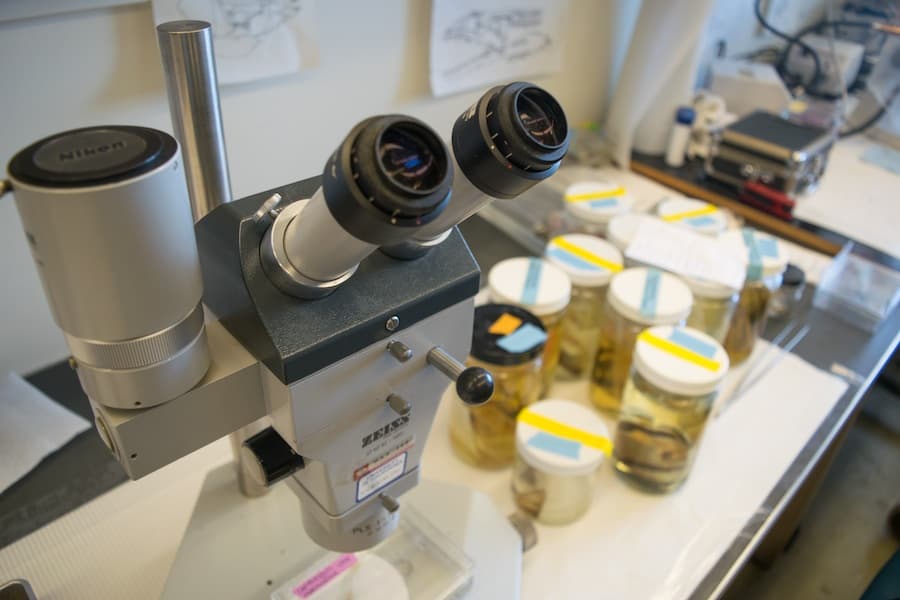 BRIAN LANDRY / AGGIE