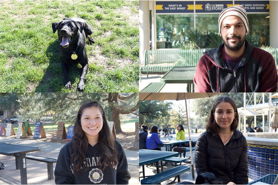 ARIEL ROBBINS / AGGIE