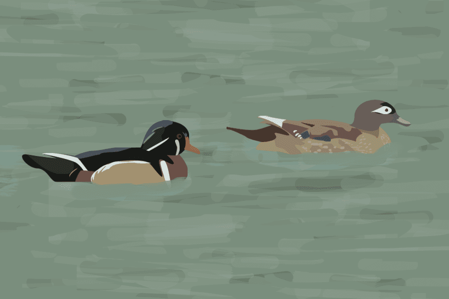 GENESIA TING / AGGIE