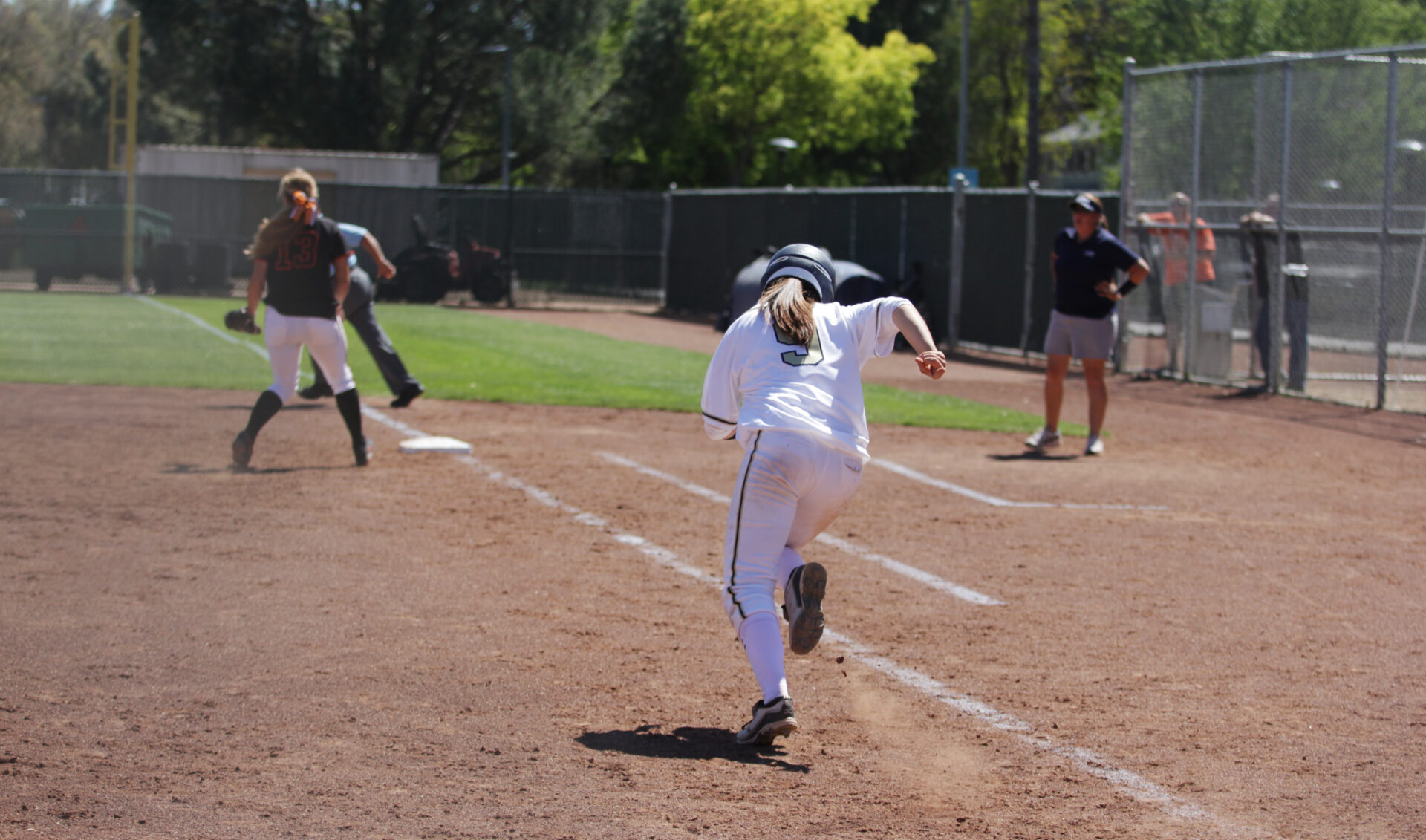 Softball Preview The Aggie