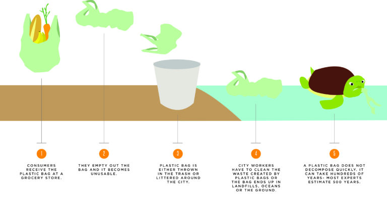 Plastic bag ban coming to Davis in 2014