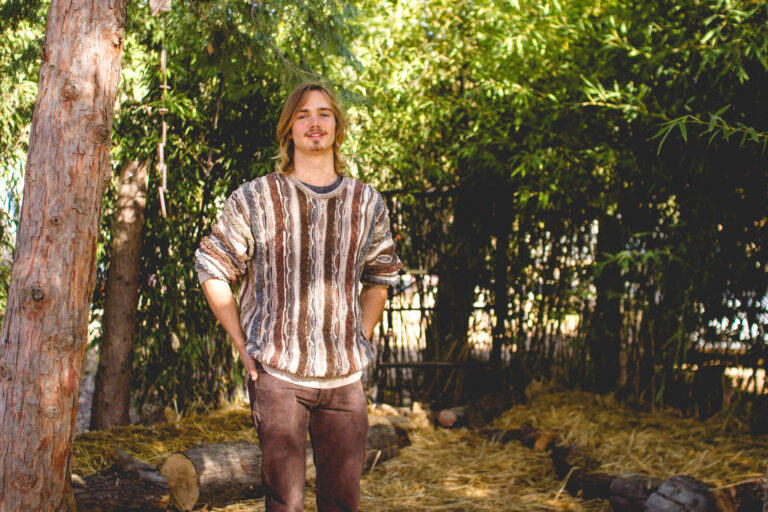 Mushrooms to spring up this winter