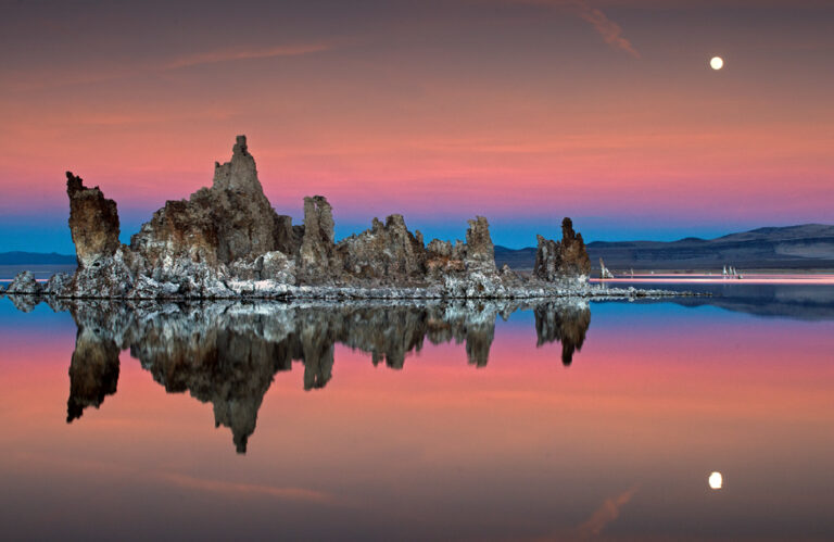 Davis holds HeART About festival