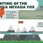 foxinfographic-revise