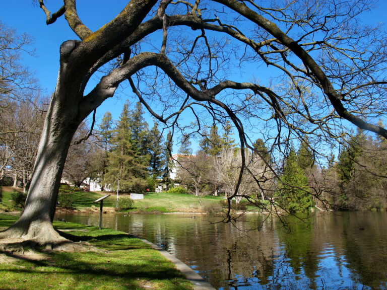 Putah Creek Council (PCC) continues to protect, enhance creek