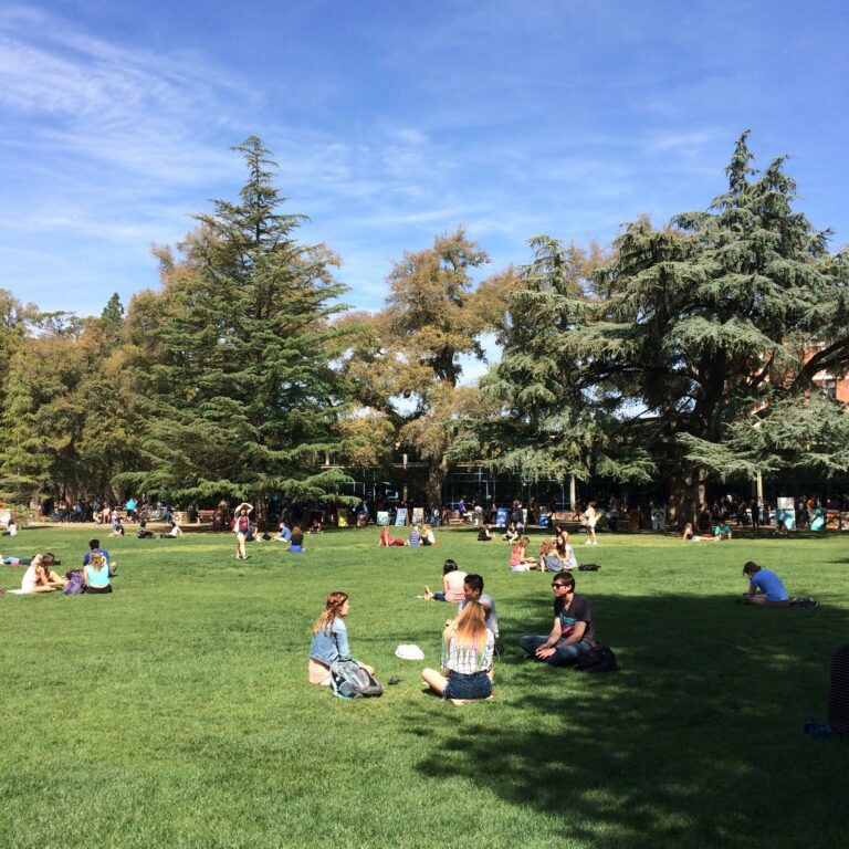 Why Davis does spring best