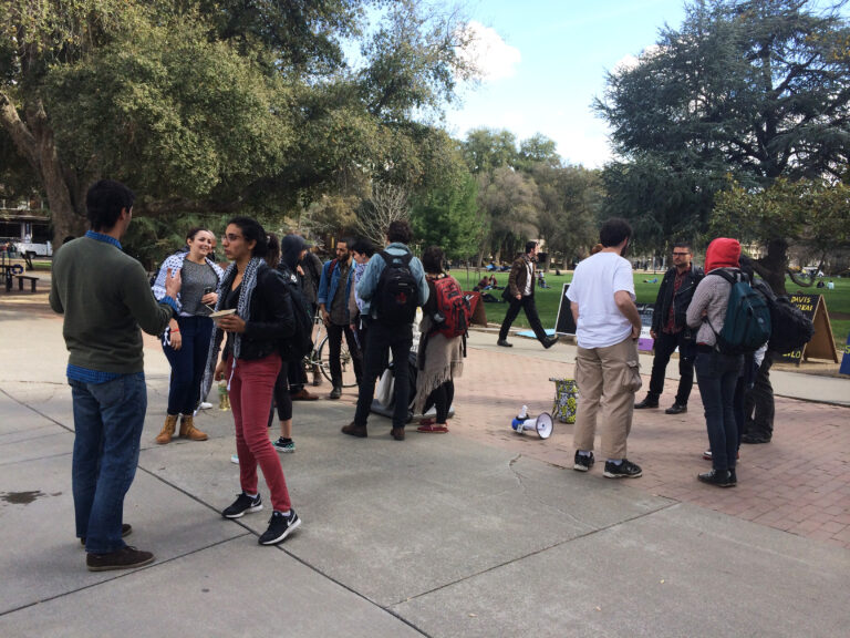 Yolo County experiences record voter turnout this year, approximately 83%