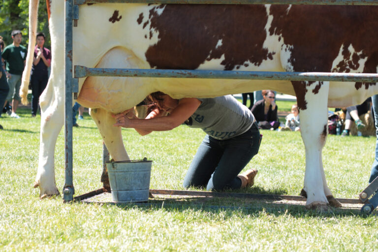 Picnic Day celebrates its 101st year