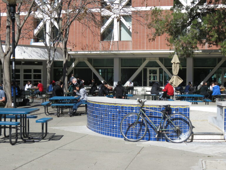 How has Davis helped us grow?